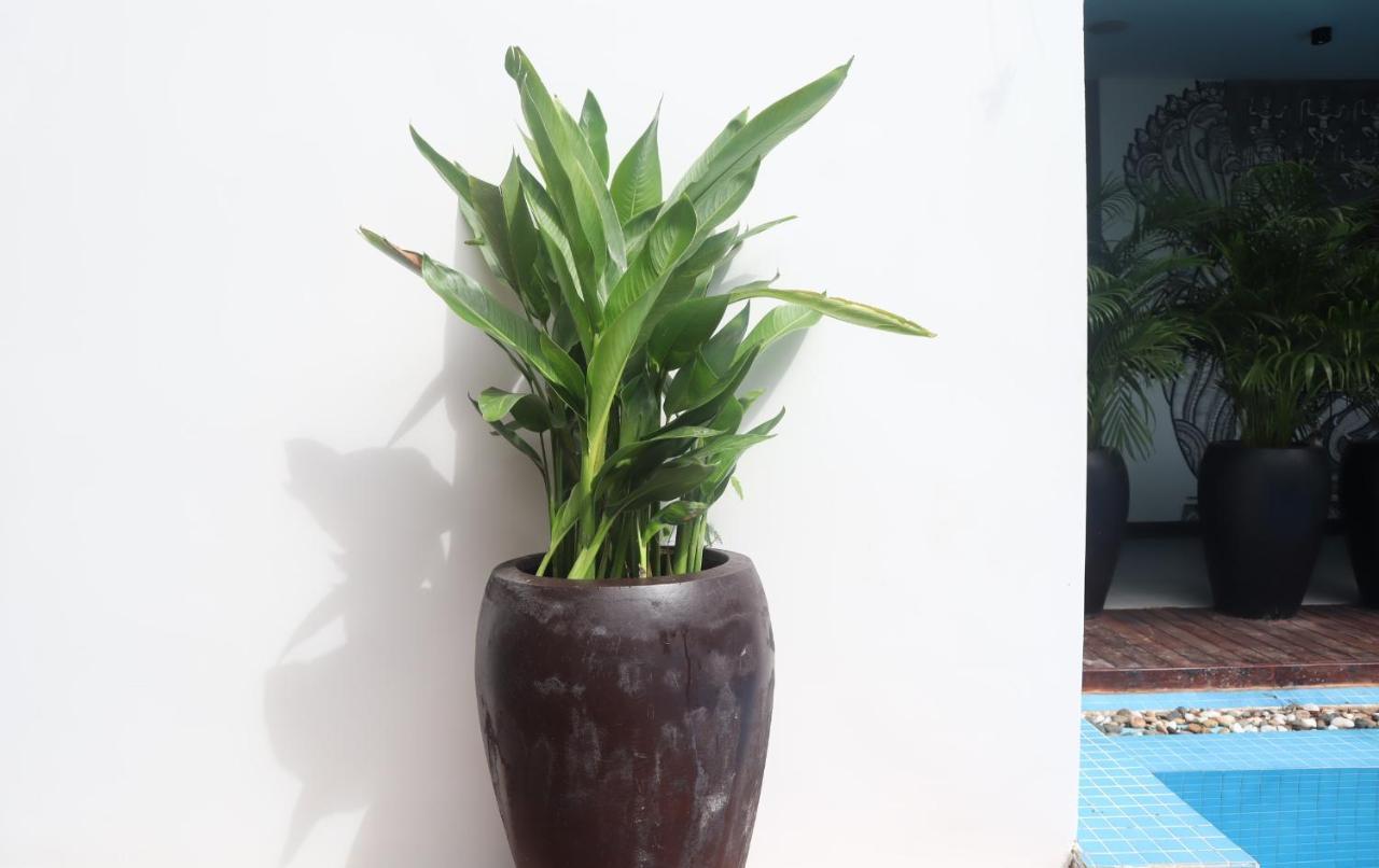 Siem Reap Palace Hotel & Spa Luaran gambar